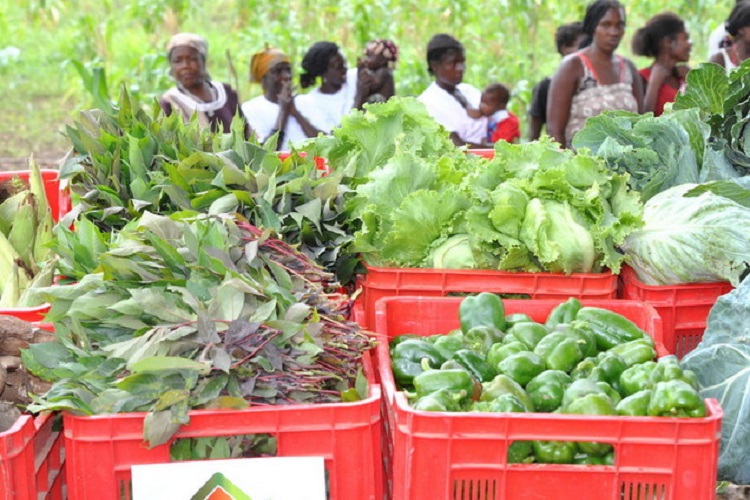 Cuanza-Sul: Feira do Campo arrecada nove milhões de kwanzas