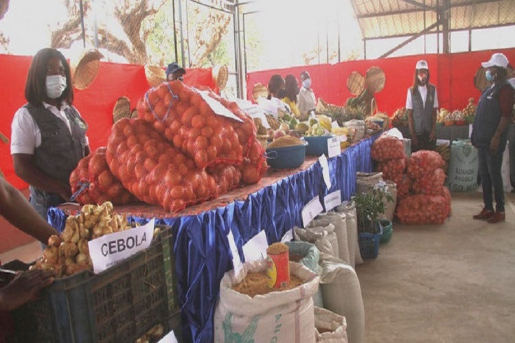 Bié: Feira da Batata-Rena e do Milho rende Akz 200 milhões