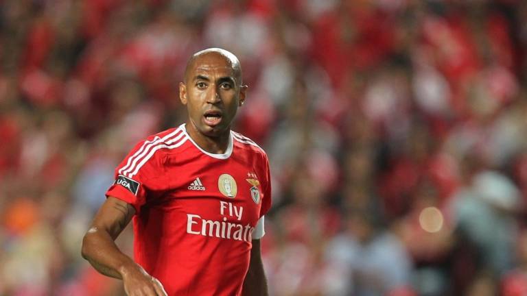Luisão deve voltar ao banco de suplentes