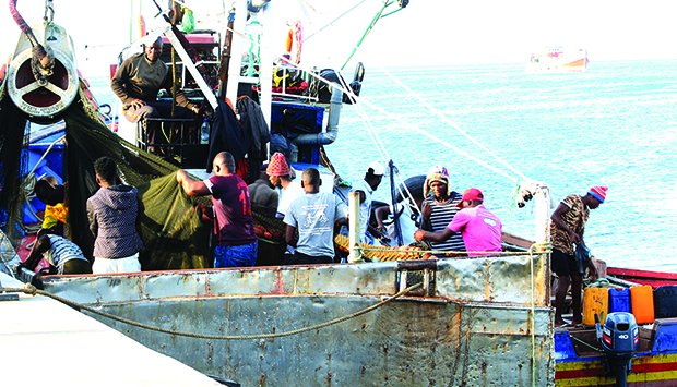 Venda de peixe com restrições desde hoje