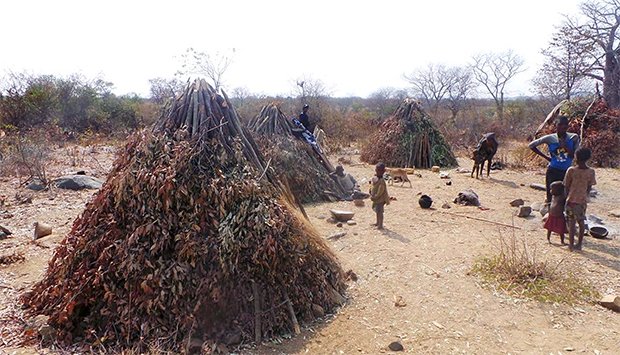 Municípios da Huíla e Cunene com mais apoios contra a seca