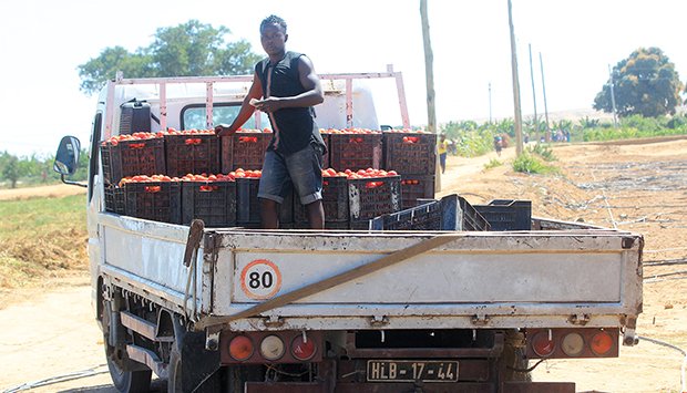 Portal Nacional cadastra 9.779 produtores pelo país