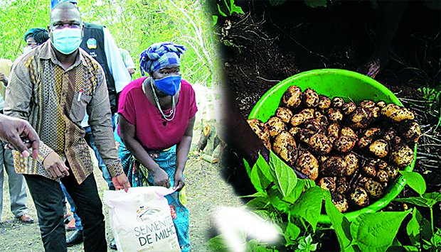 Terras inóspitas transformadas em grandes extensões agrícolas