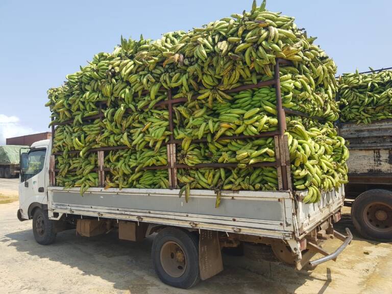 Operadores pagam veículos a menos da metade do preço