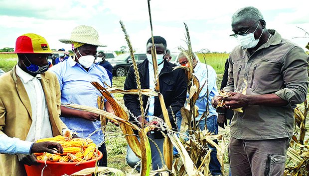 Agricultor reclama roubo da produção