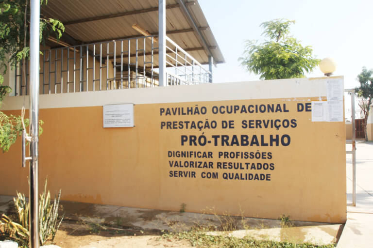 FALTA DE ENERGIA TRAVA AUMENTO DE CURSOS EM PAVILHÃO OCUPACIONAL DA PECUÁRIA
