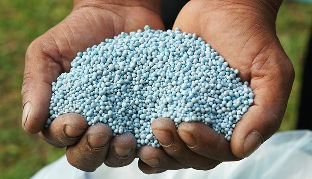 Governo realiza concurso de compra de fertilizantes