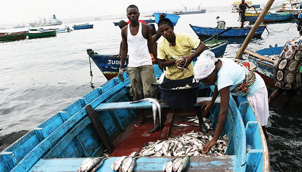 Secretária de Estado anuncia subida da captura de pescado