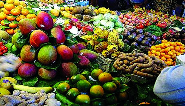 Camponeses recebem plantas frutíferas