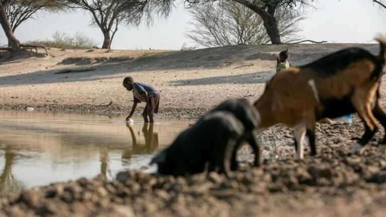 Famílias no Sul de Angola vão à Namíbia à procura de comida em contentores de lixo