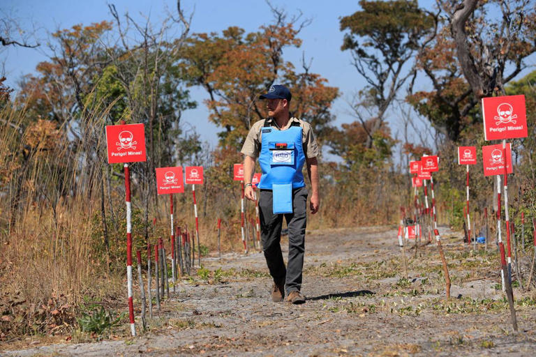 A seguir os passos da mãe: príncipe Harry percorre campo de minas em Angola