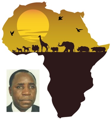 Carlos-Kandanda-africa