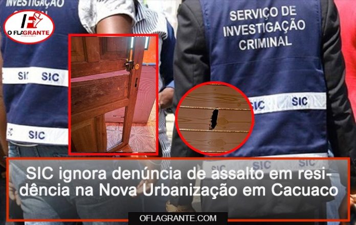 IMG-20251101-WA00041